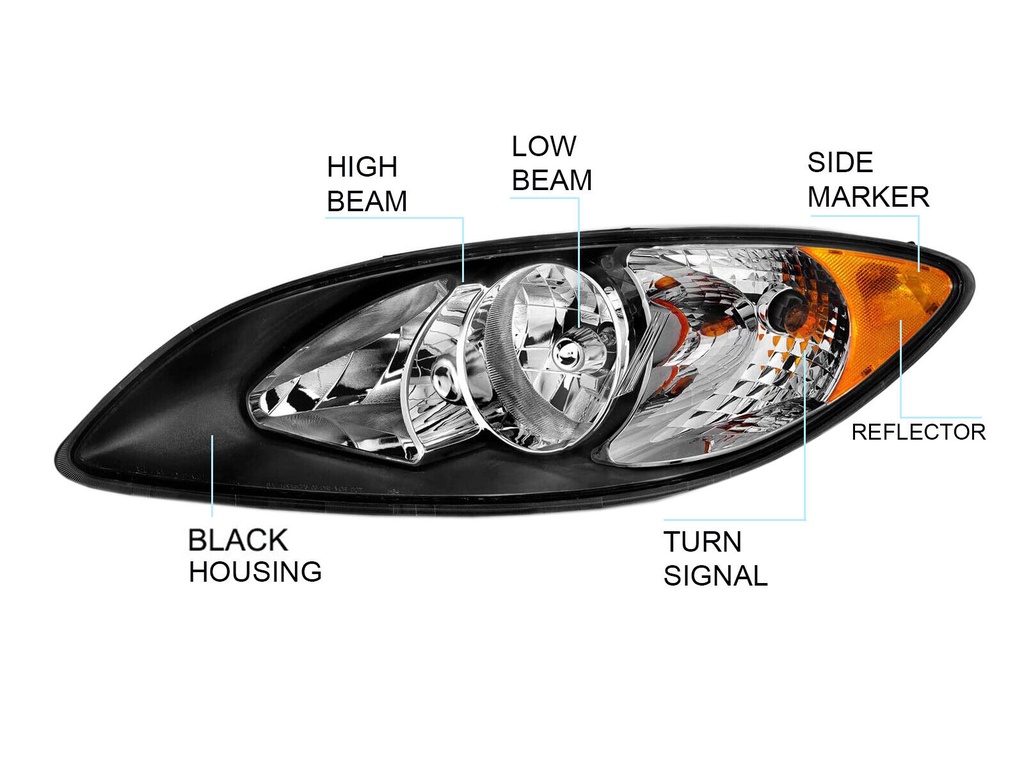 PANTALLA INTERNATIONAL PROTAR 2008 LH *