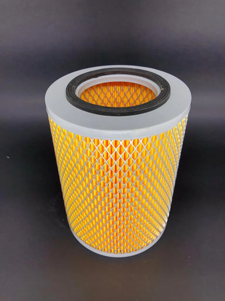 FILTRO AIRE  ZHONG TONG NL21-22F1