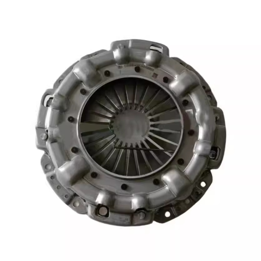 PLATO FRICCION FORLAND 2024 