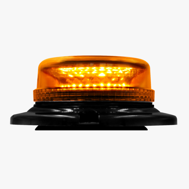 Centella Amarilla PEQ